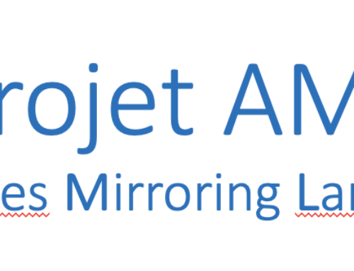 Activity Mirroring Language (AML)