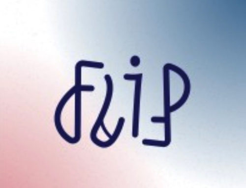 FLIP-FLAP