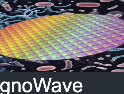 DIAGNOWAVE