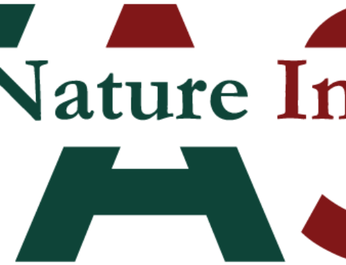 VASI SAS BY NATURE