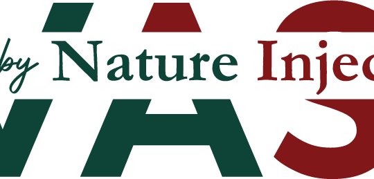 logo vasi